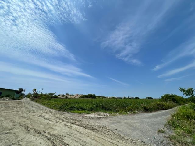 口湖農地-5