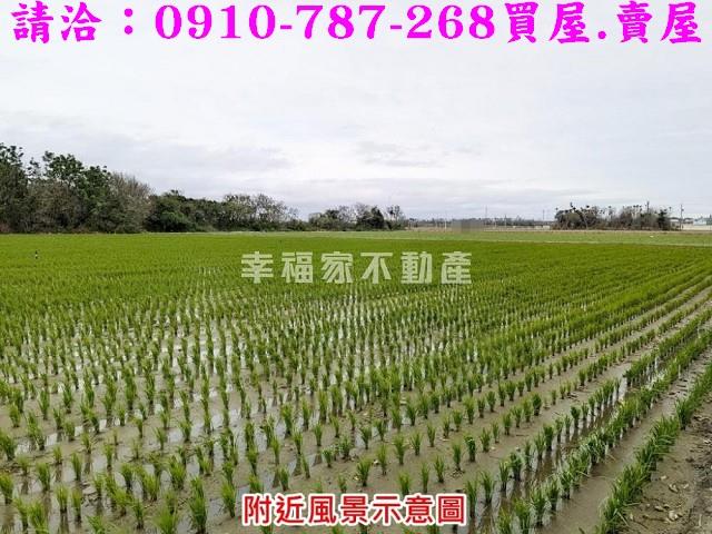 東勢鄉農地-4