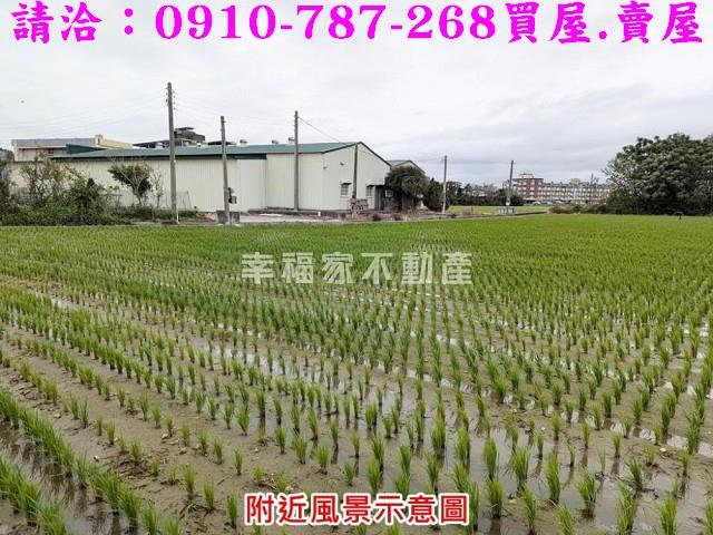 東勢鄉農地-2