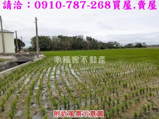 東勢鄉農地-3