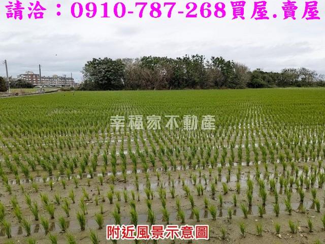 東勢鄉農地-4