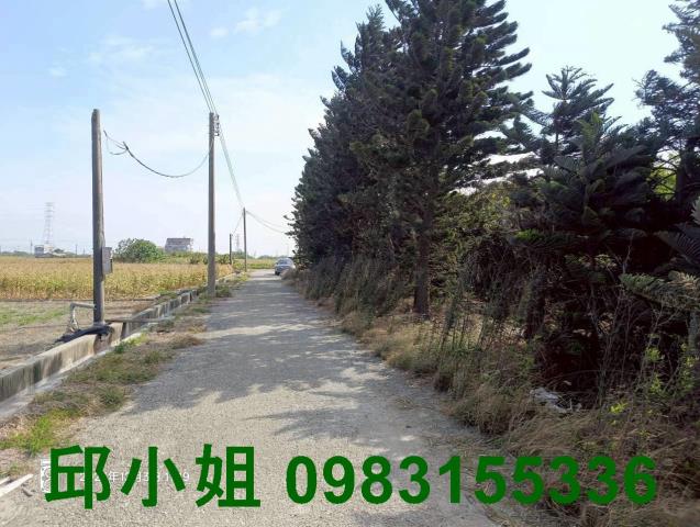 口湖農地-1