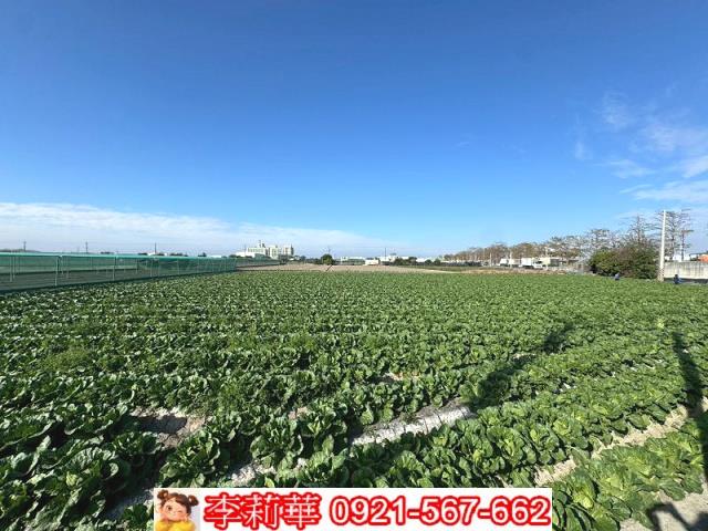 西螺農地-3