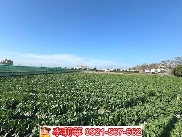 西螺農地-4