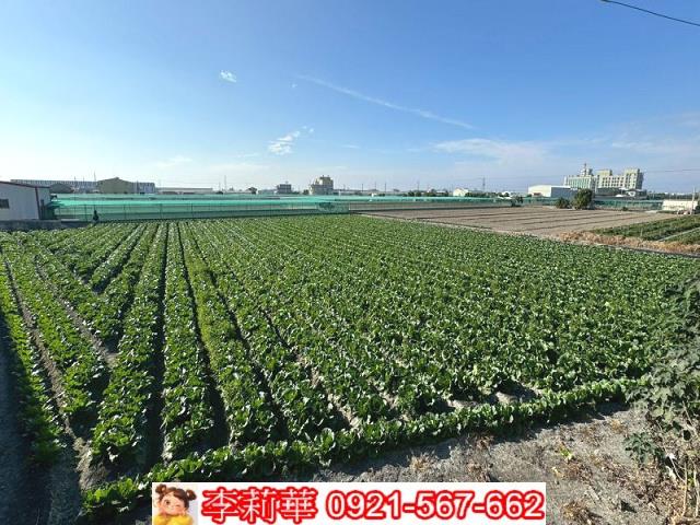 西螺農地-6